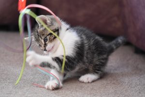 string