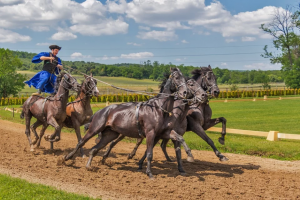 traditional horse riding