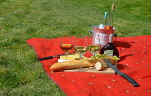 a picnic blanket has many uses