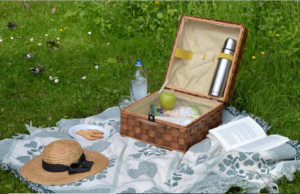 a picnic blanket can be a great gift